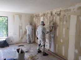 Best Commercial Mold Inspection in Fayetteville, GA